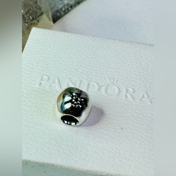 Authentic Retired Pandora Apple of My Eye Two Tone 14k & S925 Ale Charm - Picture 9 of 14